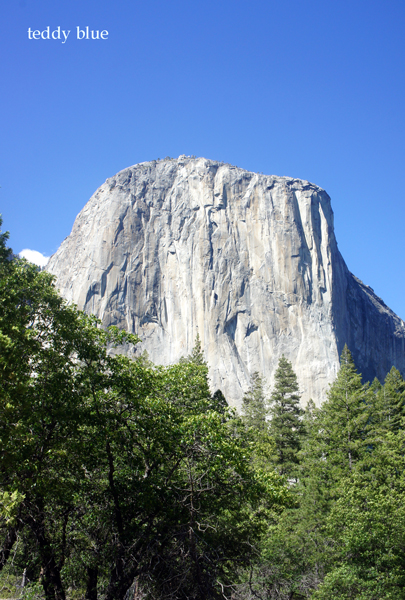 yosemite national park  ヨセミテ国立公園 part 2_e0253364_1262683.jpg