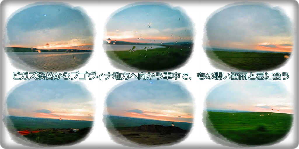 a0052666_030418.jpg
