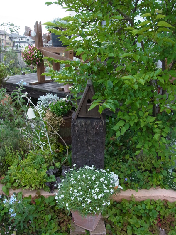 b0194267_20234130.jpg