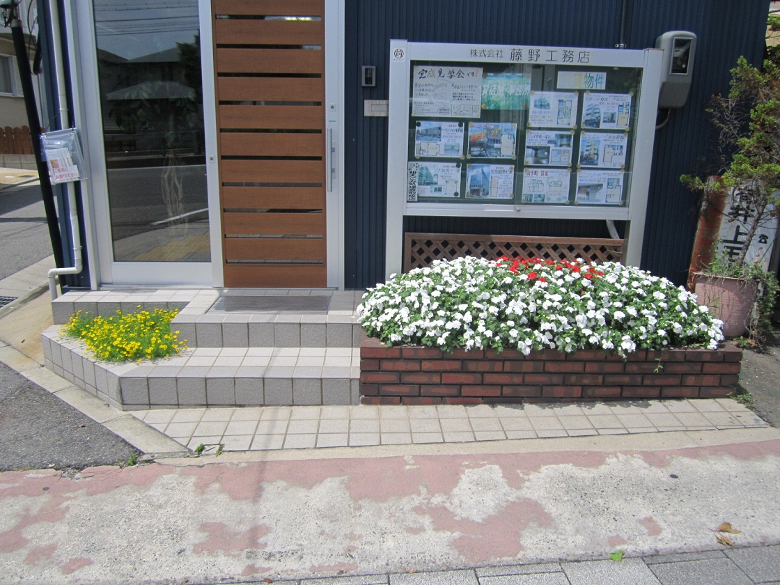 豊満な花壇_f0205367_15314059.jpg