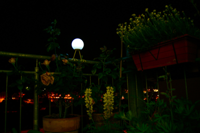 c0030570_7481212.jpg