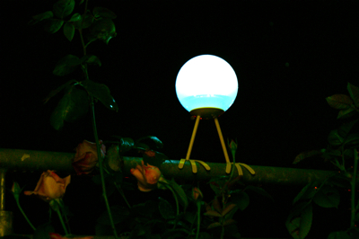c0030570_7492035.jpg