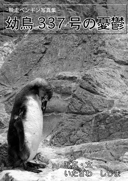 脱走ペンギンの写真集を作る ネットのしじま いたざわ しじま公式blog 脱走ペンギンの写真集を作る ネットのしじま いたざわ しじま公式blog