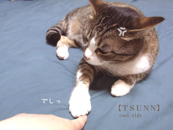c0126176_1211199.jpg