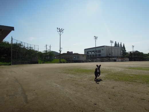削りの一日。_d0195183_22394427.jpg