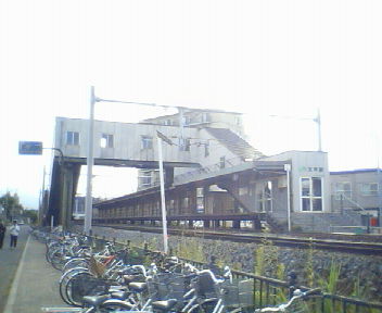 f0078286_8385611.jpg