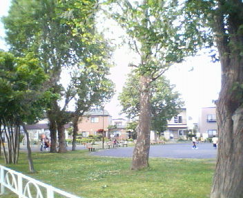 f0078286_8415152.jpg