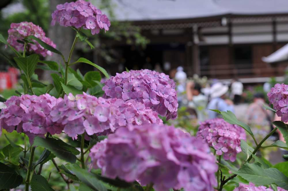 f0202686_21153848.jpg
