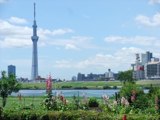 f0007587_15171171.jpg
