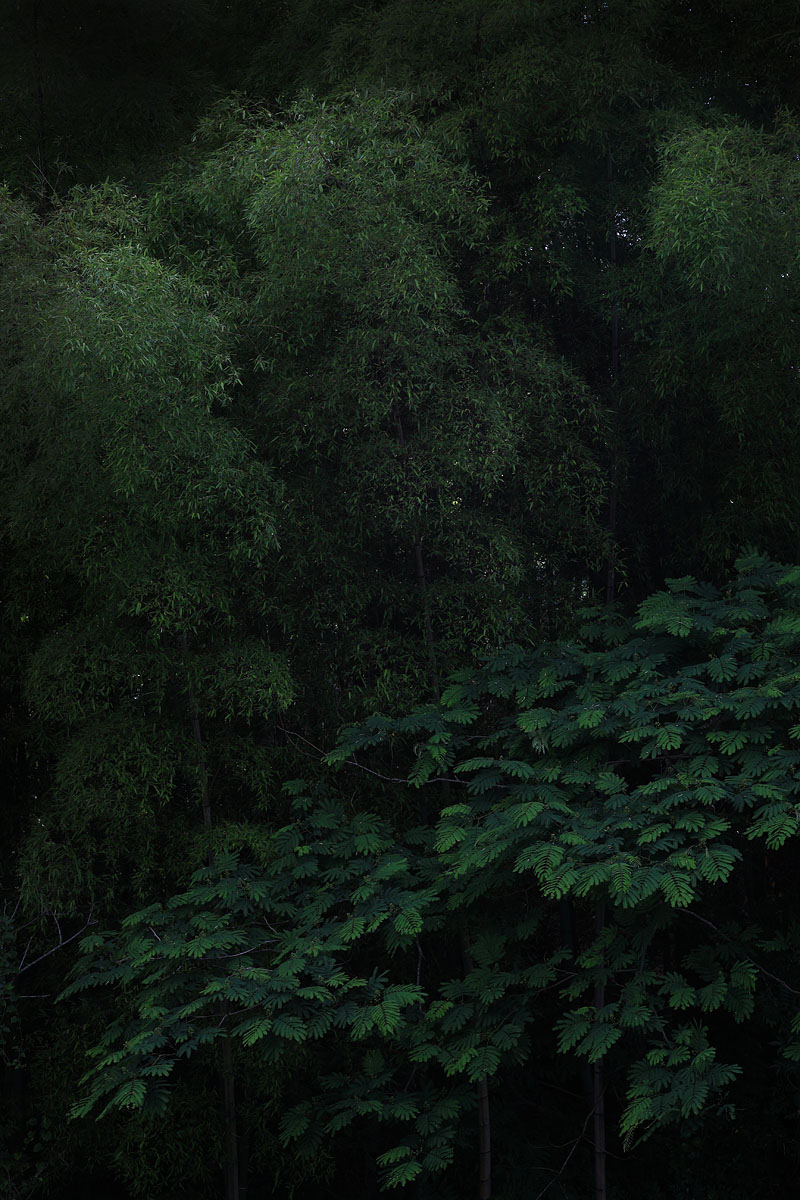 d0200900_164484.jpg