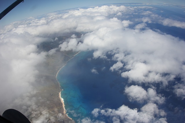 b0127002_0331495.jpg