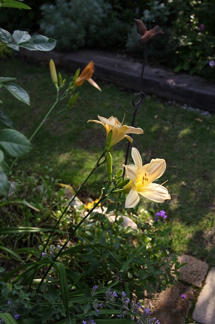 a0123003_8181468.jpg