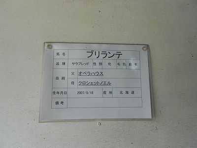 b0147203_2334067.jpg
