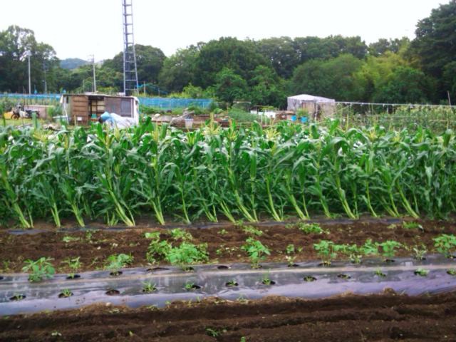e0270403_22554840.jpg