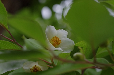 c0156908_8381393.jpg