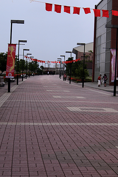 d0036708_2020586.jpg