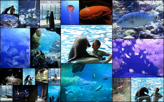 a0208109_1572371.jpg