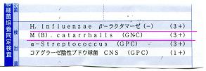 大量鼻汁時には細菌増量します。_a0082724_17583331.jpg