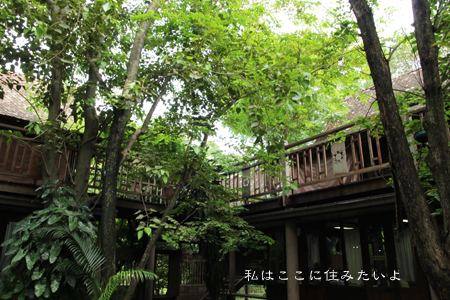 d0042827_05631.jpg