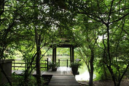d0042827_057019.jpg