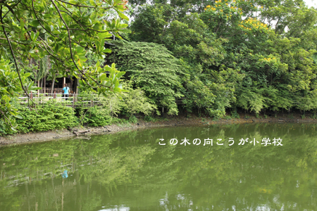 d0042827_0572456.jpg