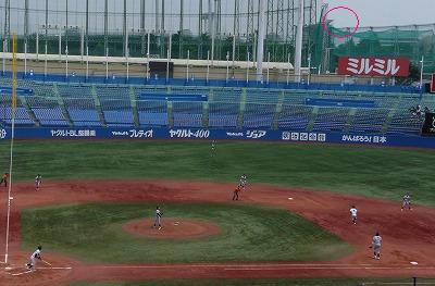 b0166128_2332982.jpg