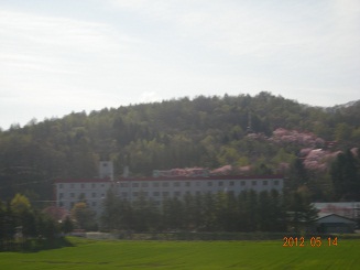 f0165730_20501170.jpg