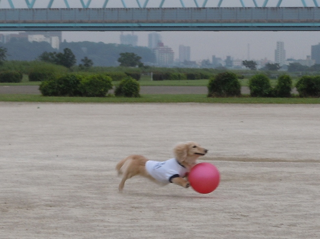 c0117831_20121790.jpg