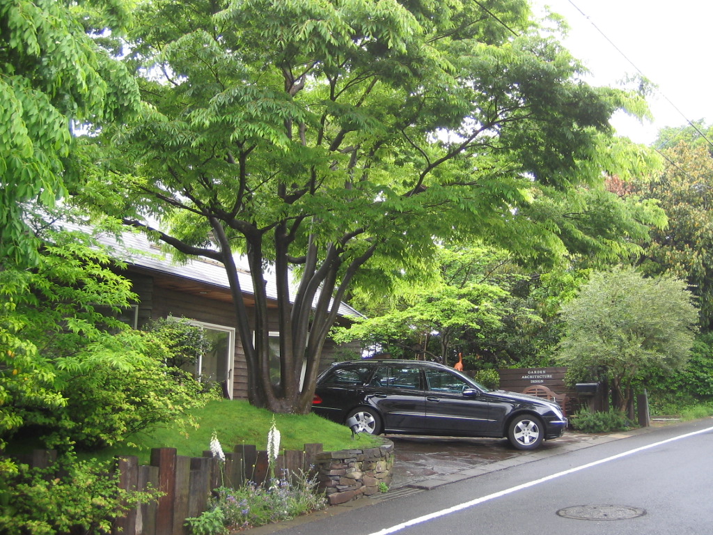 憧れのガーデンプランプランナー ｉｍａｓａｔｏ ｐｌａｎｔｉｎｇ