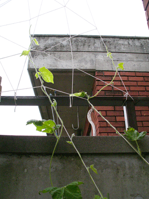 f0108133_9491729.jpg
