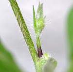 f0108133_9492879.jpg