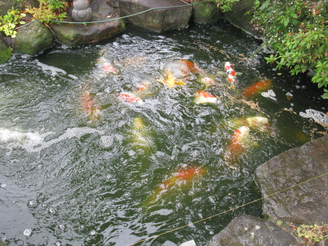 f0214235_2336309.jpg