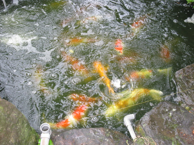 f0214235_23363727.jpg