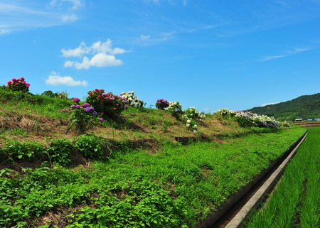 d0246136_2262657.jpg