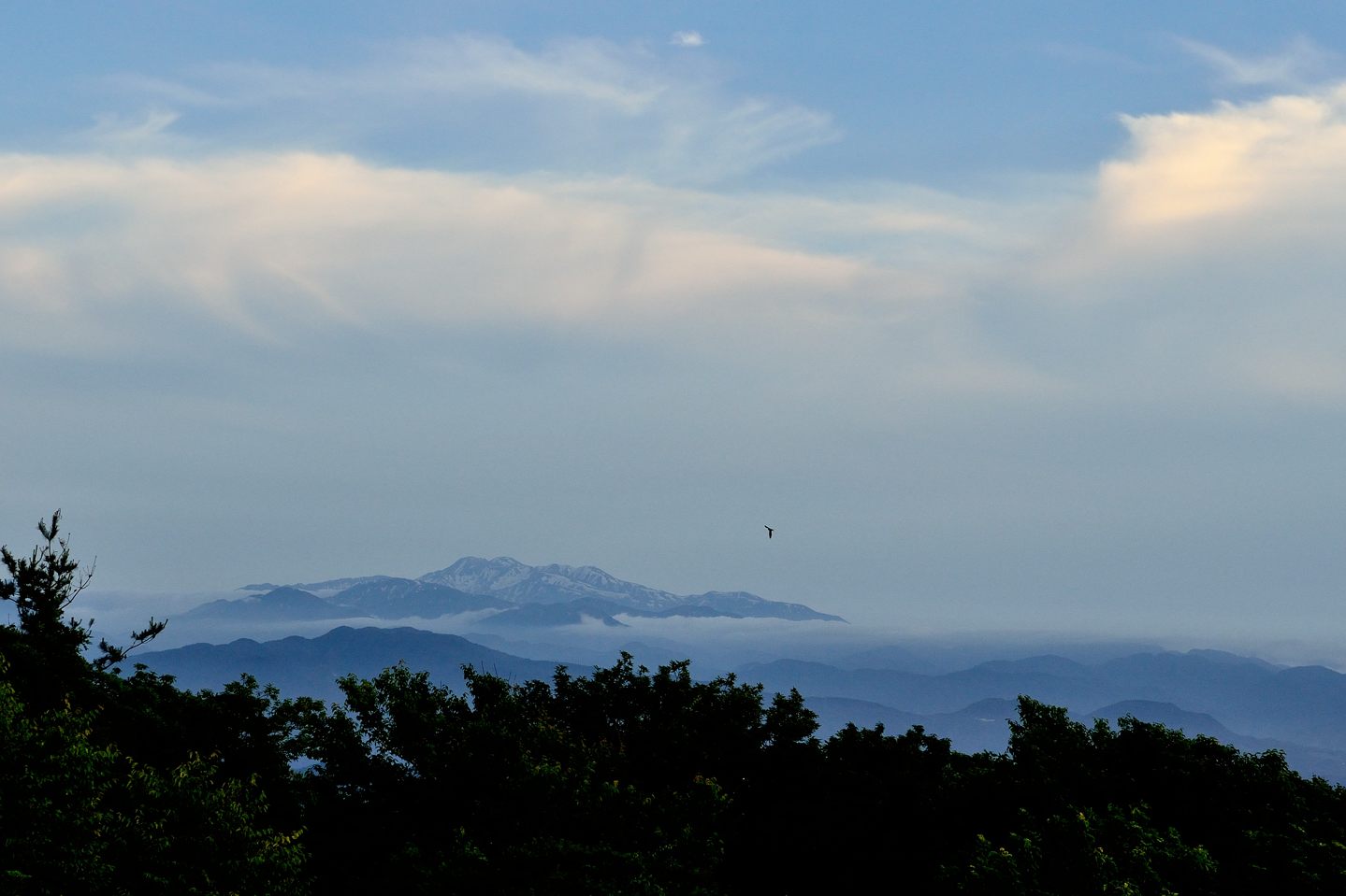 d0172537_23342742.jpg