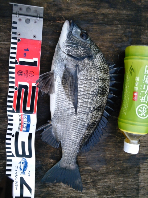 -_b0128238_15395425.jpg