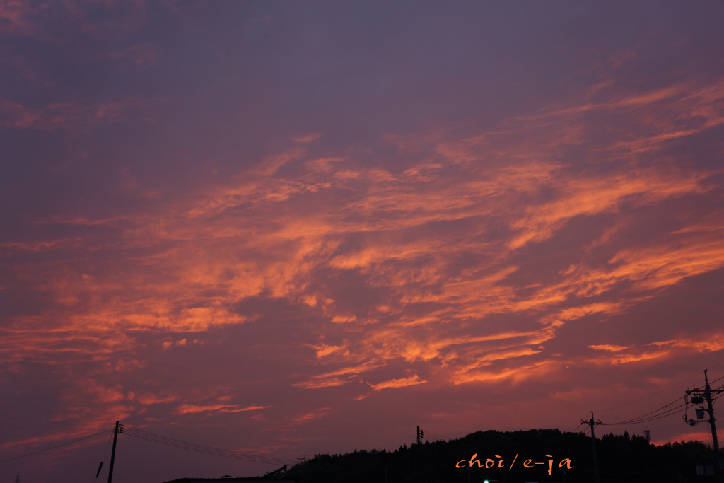 c0243343_2352959.jpg