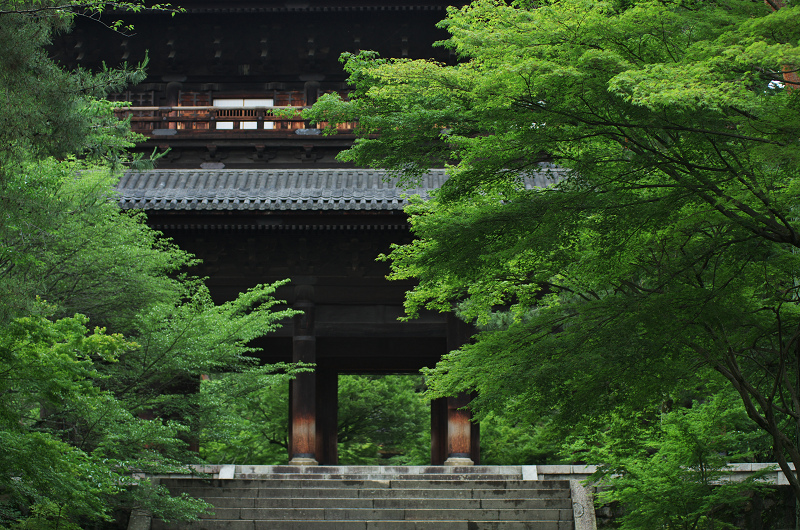 新緑の南禅寺（野村碧雲荘～南禅寺界隈）_f0155048_13412171.jpg