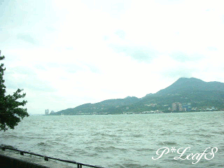 c0176651_16561828.gif