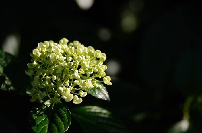a0263952_22442870.jpg
