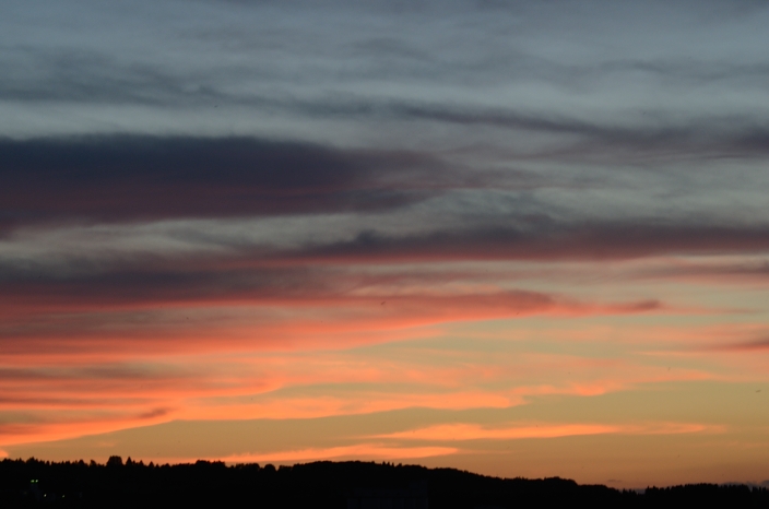 a0263952_22521335.jpg