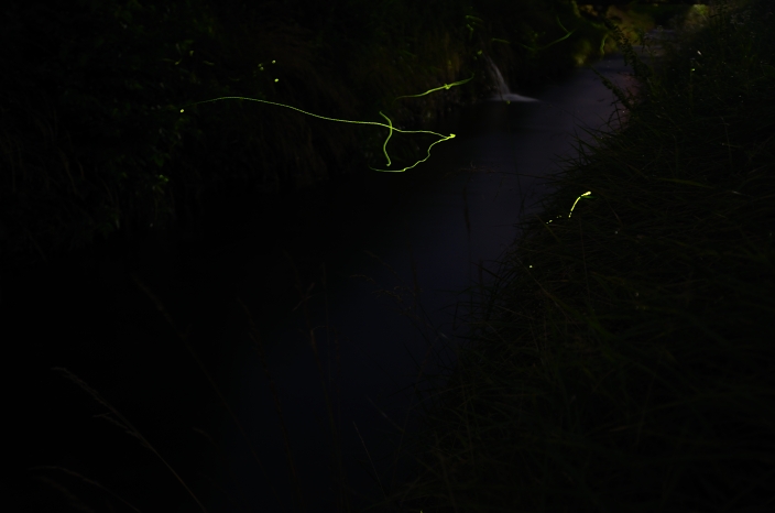 a0263952_23104538.jpg