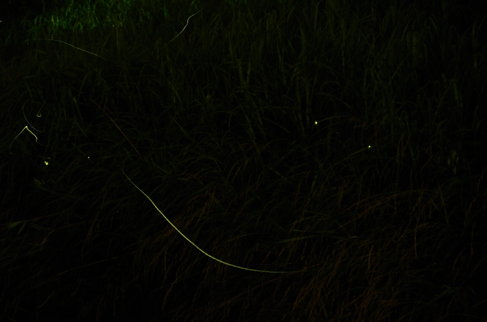 a0263952_23152774.jpg