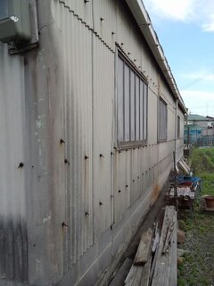 f0115152_8385355.jpg