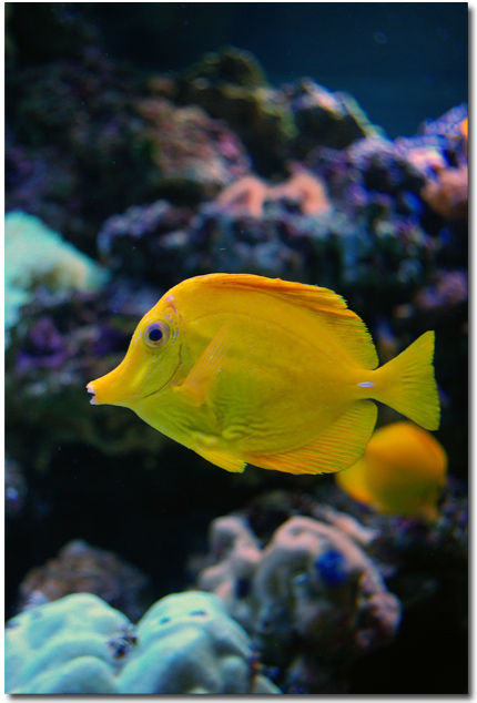 スカイツリーとすみだ水族館_f0012154_04972.jpg