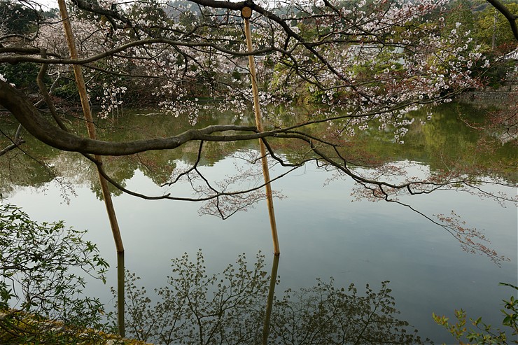 f0222161_23363567.jpg