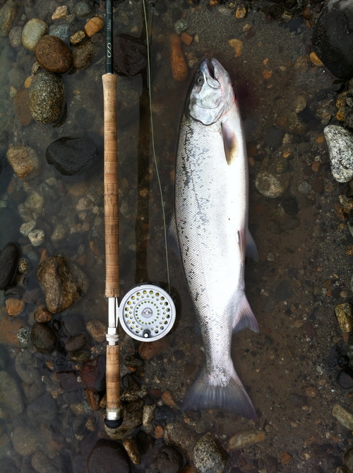 3度目の幸運は65cm!!_b0151262_108924.jpg