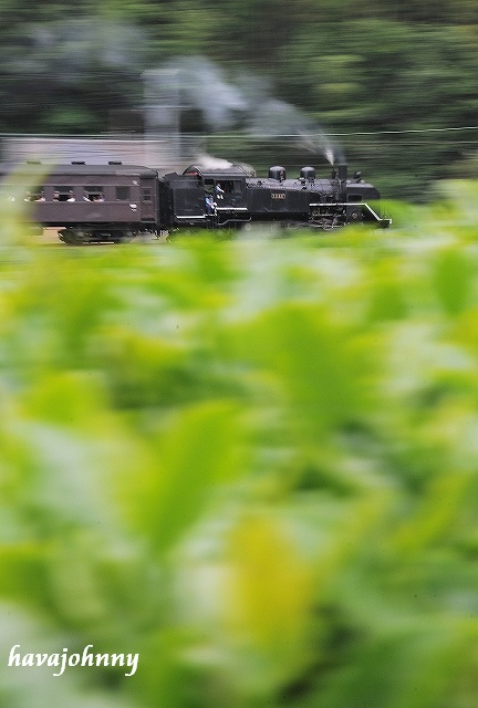 c0173762_22595223.jpg