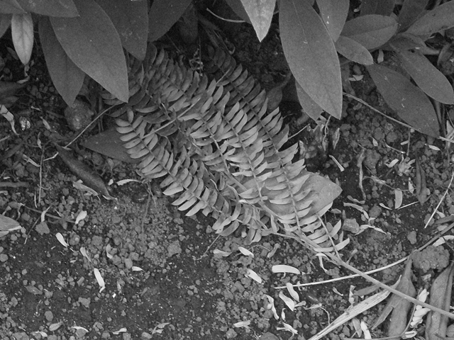 d0154964_823677.jpg
