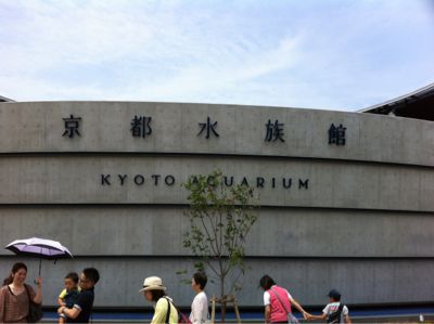 京都水族館へ！_d0227066_1818981.jpg